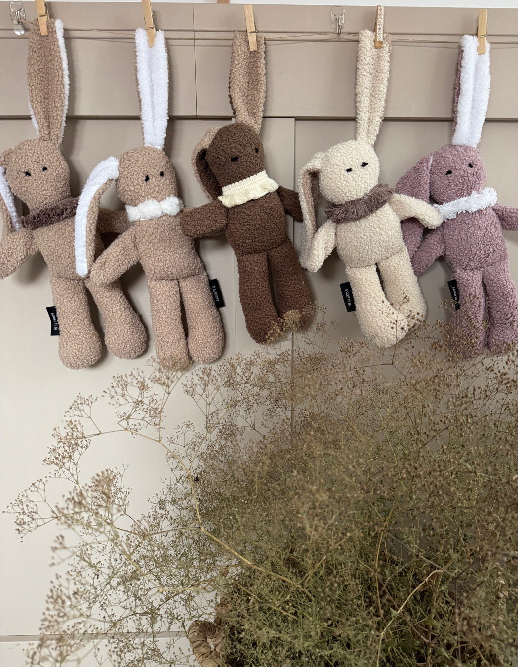 PRZYTULANKA / KRÓLICZEK